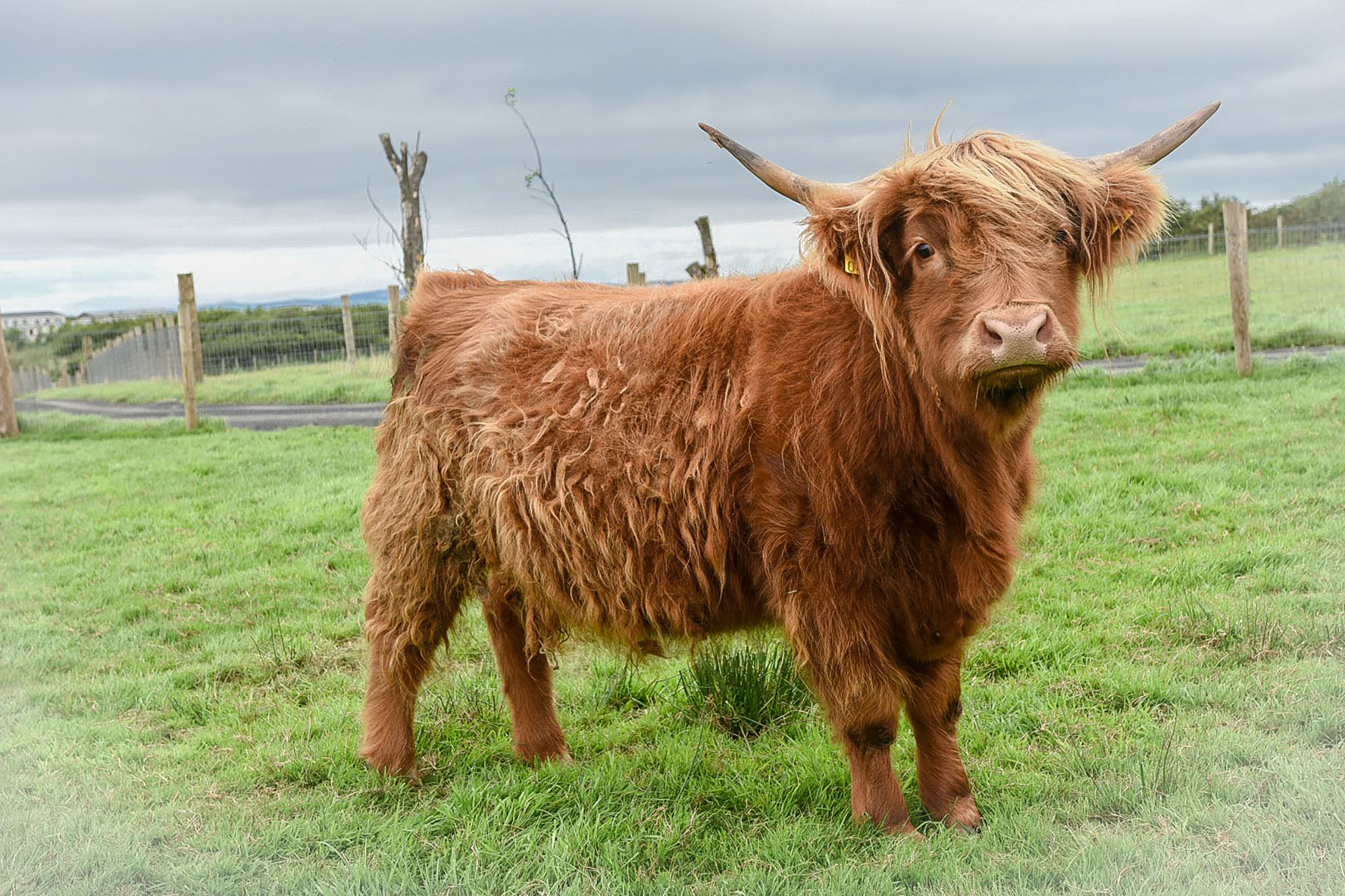 Sandy Feet Farm – Fun Food Discovery | Open Farm Co. Kerry